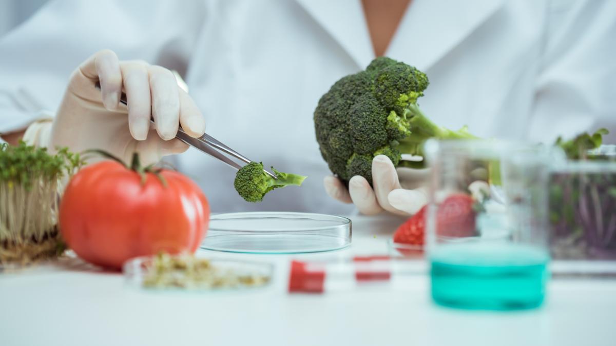 Bachelor of Science in Food and Nutrition Sciences