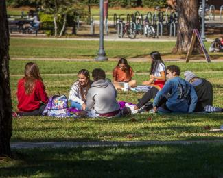 Students on Landis Green