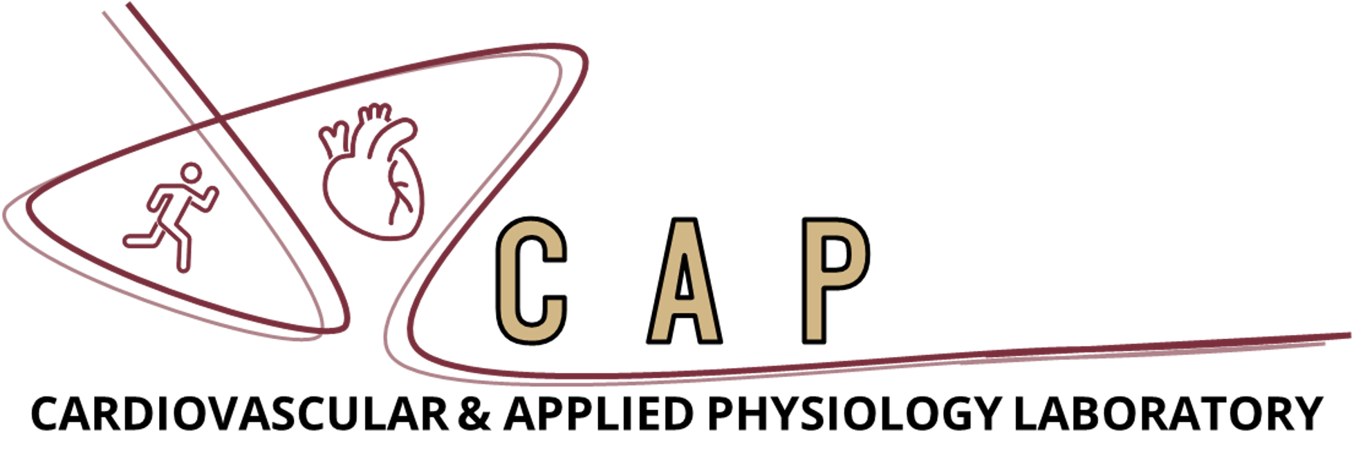 logo of the cardiovascular and applied physiological laboratory (cap)